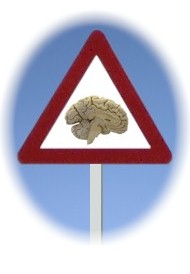 Gehirn und Gefahren